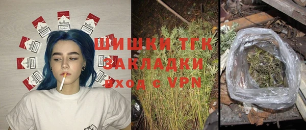 твердый Абаза